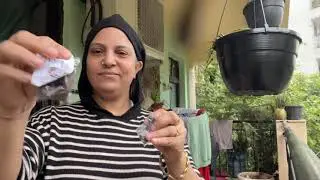 दिल्ली के मौसम ने किया बेहाल 😔| बालकनी makeover और पेड़ पौधे | पुराने गद्दे से परेशान तो ये idea 👌