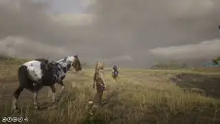 Red Dead Redemption 2 gnihihi
