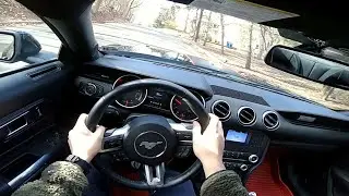 POV Driving 2019 Ford Mustang EcoBoost - Accelerations & Handling!!