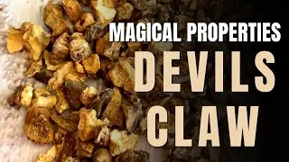 Devil's Claw Magical Properties