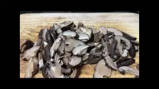 ឆារផ្សិតក្រៀមសាច់ជ្រូក|How to cook pork with dry mushrooms.