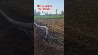 ###( 1 acre / Nambiyur Near by/Kadathur Village (8248664904)#realestate #agriculture