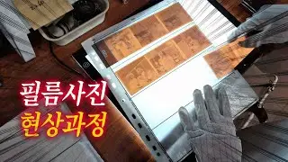 필름카메라 현상 스캔은 자가로 가능할까?