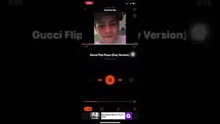 Gucci flip flops gay version