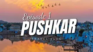 Pushkar Vlog Ep 1 | Road Trip via Delhi-Mumbai Expressway | Brahma Mandir Aarti | Rajasthan Trip