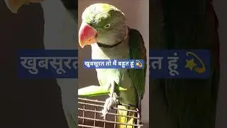 Cute Mithu 💫 #viral mithu #pets