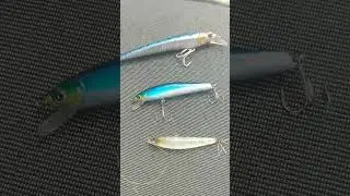 its no a addiction #fishing #mrfish #handmadelure #fishingvideo #fish