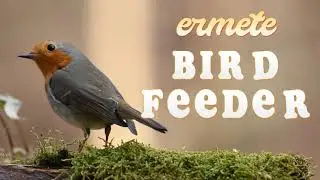 Ermete rain proof bird feeder unbox and install