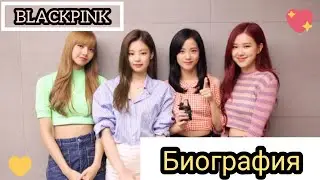 BLACKPINK БИОГРАФИЯ ГРУППЫ | дебют,позиция участниц,развлекательные программы(Black and Pink)