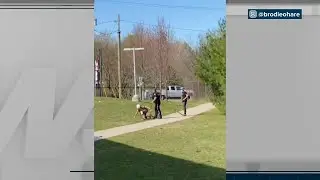 Investigation underway after video appears to show OPP officer shove teen at skate park