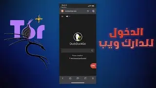 How to Change Kali Linux Settings to Access the Dark Web Anonymously