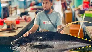 Master Cutting Tuna in Action | Tuna Cutting Skills Indo #Master #Skills #Tuna