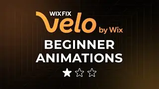 Beginner Velo Animation Project | Wix Fix