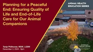 Planning for a Peaceful End: Ensuring Quality of Life and End-of-Life Care for Our Animal Companions