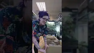 Unboxing deliveries in the reptile shop