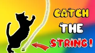 Cat Games Catching White String ⭐ Cat Toy On Screen, Videos For Cats , Cat Games for Cats Only