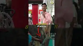 Cow & Buffalo Milking Machine