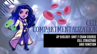 AP Biology College Prep CRASH COURSE Unit 2 Cell Structure & Function Cell Compartmentalization 2.10