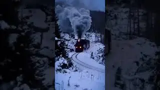 Powerful Train Horn in Action!