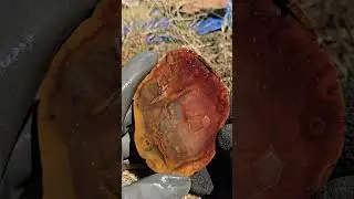 Best banded agate I found inside and out! WA state agate! #agate #rockhounding #carnelian #pnw #fyp