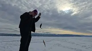 Ice Fishing Jan 30, 2026