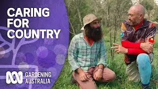 Caring for Country | Australian native plants | Gardening Australia