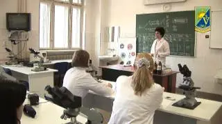 DIGITart.ro - film de prezentare USAMV - Bucuresti (2011)