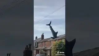 Shark House Meme - Oh No!