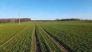 Stosowanie nawozów azotowych możliwe w całej Polsce - Czy wykorzystać to już teraz?