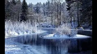 zodiak ambient type  beat