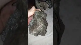 Невероятная детализация лица в этой окаменелости из грязи! 😍