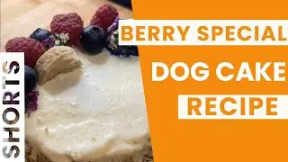 I make a delicious dog Birthday cake (step-by-step) 🎂🐶