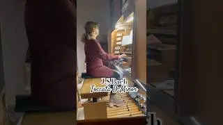 J.S.Bach Toccata D-Minor #organ #organmusic #musica