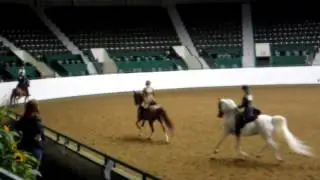 Region 10 Arabian Horse Show 2012