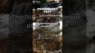 The 'Tip-of-the-Tongue' Phenomenon 🧠 🔍 # shorts #brainscience #psychologyfacts