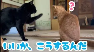 天の癖強顔洗い指南　Ten&rsquo;s Quirky Face-Washing Style