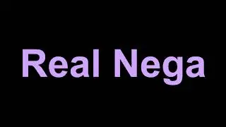 JPEGMAFIA - Real Nega (Lyrics)