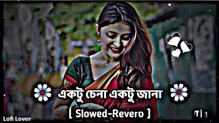 Ektu Chena Ektu Jana || Bangla Lofi Songs || Raju Uncle Muvie Song || Prasenjit Lofi Song ||