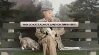 Ask.com commercial