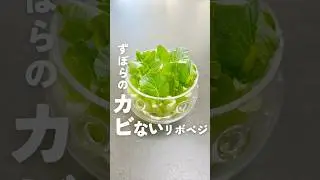 ずぼらでもカビない！リボベジ
