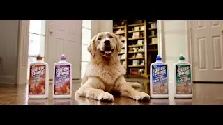 Quick Shine Disinfectant Floor Cleaner & 3-IN1 Surface Cleaner