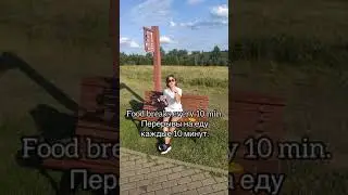 How girls play golf! Как девочки играют в гольф😂