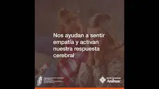 &iquest;Qu&eacute; son las neuronas espejo