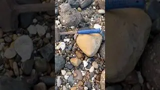 Absolute beast of an ammonite fossil found whilst hunting for fossils on the Holderness Coast 👀