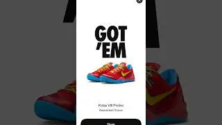 Nike Kobe 8 year of the horse