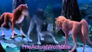 Kate-Tik Tok