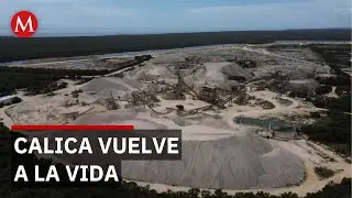 Fauna y flora regresan a predios de Calica tras clausura minera