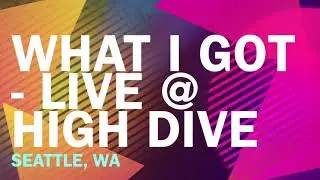 Animal Basement - What I Got - Live @ High Dive