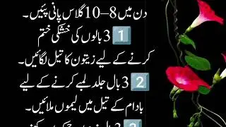 Motivational Quotes About life | Rumi Quotes | Hikmat ke baatin | Sunheri Haroof | Golden Word 