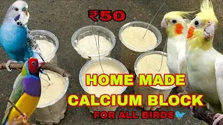 How to make calcium block at home only 50 rupees 🏡ଘରେ କେମିତି ବନେଇବେ calcium block